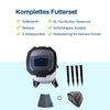 BGSF-6_fr_6.jpg
